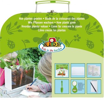 ***热销单品*** 户外手提箱：植物如何生长